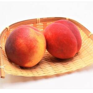 ワッサー　約2kg　【桃+ネクタリンの掛け合わせ】【1629703】