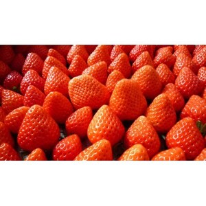 【2026年発送】長野県産 紅白いちごのたべくらべセット 各1パック【400g】【配送不可地域:離島】【1705546】