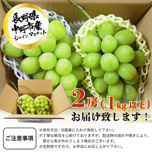 長野県中野市産　冬でも食べれる　シャインマスカット2房(1.0kg以上)【配送不可地域：離島】【1331129】