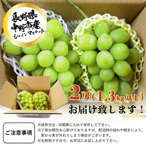 長野県中野市産　冬でも食べれる　シャインマスカット2房(1.3kg以上)【配送不可地域：離島】【1331174】