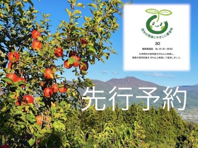 家庭用 サンふじ 3kg