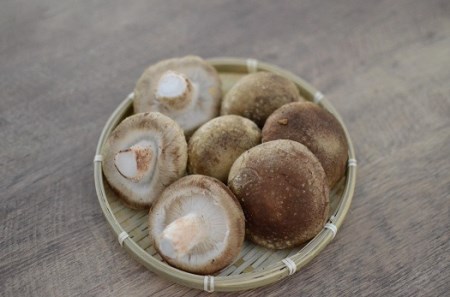 椎茸の佃煮＆四種のきのこの炊き込みご飯の素 4パックセット | 長野県