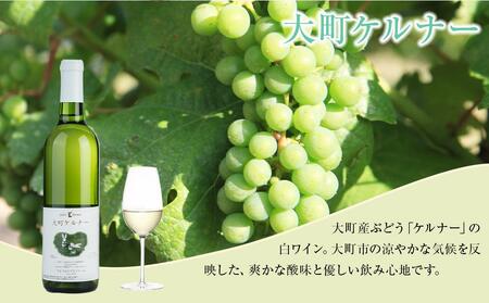 酒 ワイン 白ワイン ケルナー 大町産 1本 × 720ml | 長野 信州