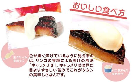 タタンおばさんのひっくり返した アップルパイ 【タルトタタン】 約18cm | スイーツ りんご 無添加 信州 長野 ご当地