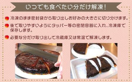 タタンおばさんのひっくり返した アップルパイ 【タルトタタン】 約18cm | スイーツ りんご 無添加 信州 長野 ご当地