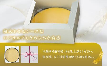 お菓子 ケーキ チーズケーキ 1台 ( 約15cm ) 立田屋