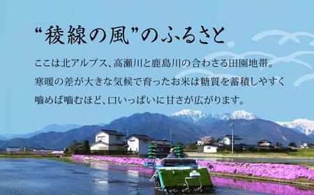特別栽培米　稜線の風（あきたこまち） 5kg | 米 新米 長野 信州