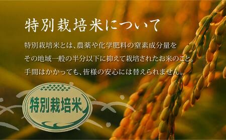 特別栽培米　稜線の風（あきたこまち） 5kg | 米 新米 長野 信州