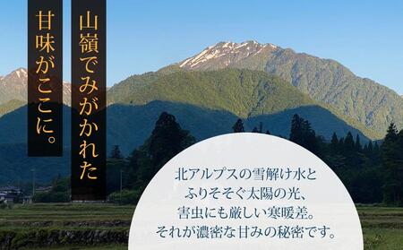 農家の手作り！果汁100%リンゴジュース（1000ml×6本) | りんご ジュース 長野 信州