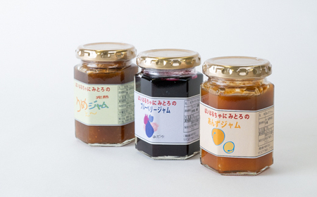 「ばいはるちゃに農園」のジャムセット【３種入り】 | 手作り ジャム 長野 信州