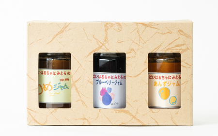 「ばいはるちゃに農園」のジャムセット【３種入り】 | 手作り ジャム 長野 信州