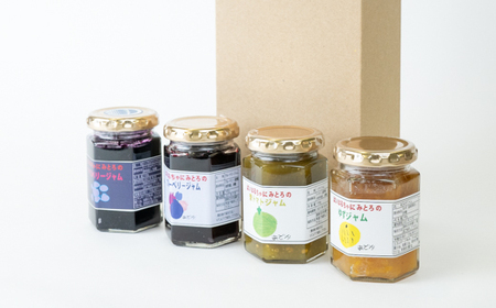 「ばいはるちゃに農園」のジャムセット【4種入り】 | 手作り ジャム 長野 信州