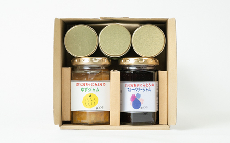 「ばいはるちゃに農園」のジャムとソースのセット | 手作り ジャム 長野 信州