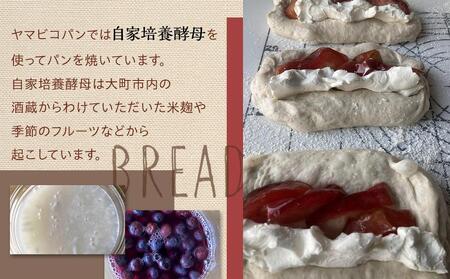 自家製酵母おたのしみパンセット80サイズ(10個前後) | パン 長野 信州