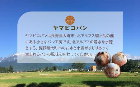 自家製酵母おたのしみパンセット80サイズ(10個前後) | パン 長野 信州