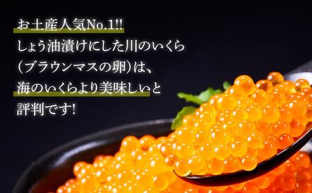 「信州サーモンのお刺身」（100g×2ケ）と「川のいくら（ブラウンマスの卵）のしょうゆ漬け」（100g×2ケ）セット｜ サーモン いくら