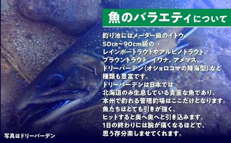 鹿島槍ガーデン釣りチケット引換券　大人男性1日券（1名様分） | つり アウトドア 長野 大町
