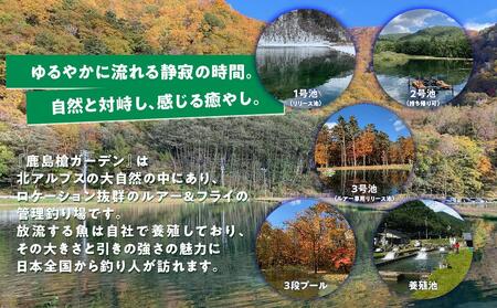 鹿島槍ガーデン釣りチケット引換券　大人男性1日券（1名様分） | つり アウトドア 長野 大町