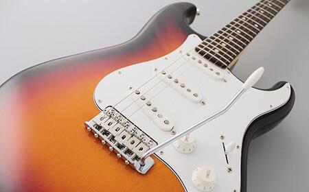 エレキギター FGN BCST100RBD-3TS (3トーンサンバースト