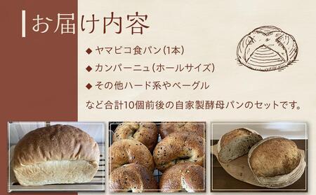 自家製酵母おたのしみパンセット80サイズ≪隔月定期便全6回≫ | パン 長野 信州