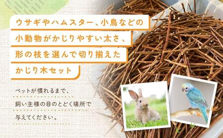 かじるの大好き　小動物かじり木セット | うさぎ ハムスター 小鳥 おもちゃ