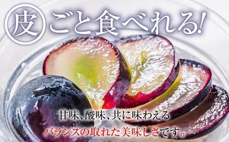 【先行予約】2025　ナガノパープル　粒つぶパックマン【訳ありパック】2パック　約1キロ　長野県産  【10月初旬頃～順次発送予定】国際特許有機肥料栽培
