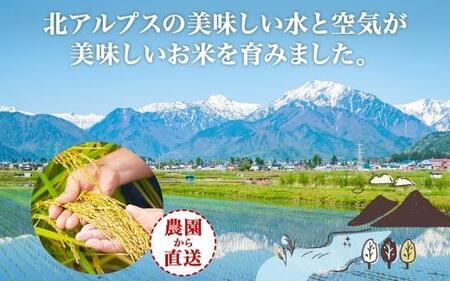 【2025年12月～順次発送】令和7年産 コシヒカリ 無洗米 10kg×1袋 長野県産 米 白米 精米 お米 ごはん ライス 甘み 農家直送 産直 信州 人気 ギフト 時短 お取り寄せ 平林農園 送料無料 長野県 大町市