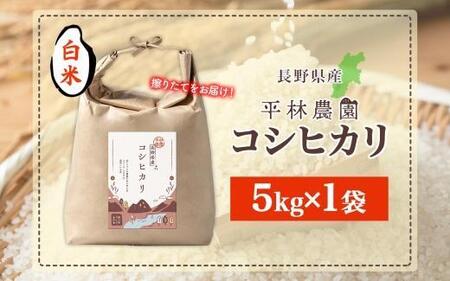 令和7年産 コシヒカリ 白米 5kg×1袋 長野県産 米 精米 お米 ごはん ライス 甘み 農家直送 産直 信州 人気 ギフト お取り寄せ 平林農園 送料無料 長野県 大町市
