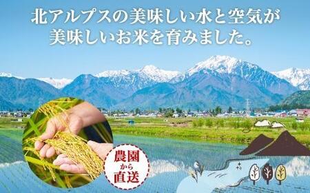 令和7年産 コシヒカリ 白米 10kg×1袋 長野県産 米 精米 お米 ごはん ライス 甘み 農家直送 産直 信州 人気 ギフト お取り寄せ 平林農園 送料無料 長野県 大町市