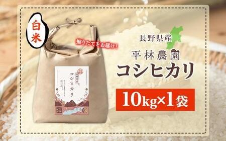 令和7年産 コシヒカリ 白米 10kg×1袋 長野県産 米 精米 お米 ごはん ライス 甘み 農家直送 産直 信州 人気 ギフト お取り寄せ 平林農園 送料無料 長野県 大町市