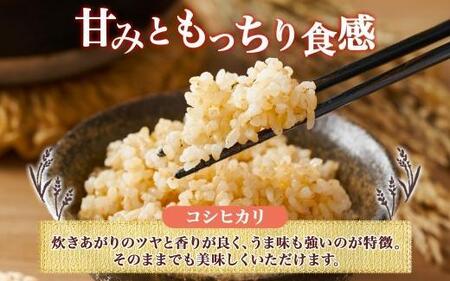 令和7年産 コシヒカリ 玄米 10kg×1袋 長野県産 米 お米 ごはん ライス 低GI 甘み 農家直送 産直 信州 人気 ギフト お取り寄せ 平林農園 送料無料 長野県 大町市