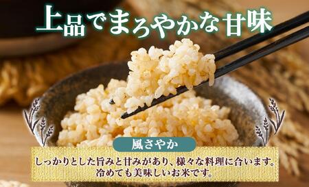 令和7年産 コシヒカリ 風さやか 玄米 各5kg 長野県産 米 お米 ごはん ライス 低GI 甘み 農家直送 産直 信州 人気 ギフト お取り寄せ 平林農園 送料無料 長野県 大町市