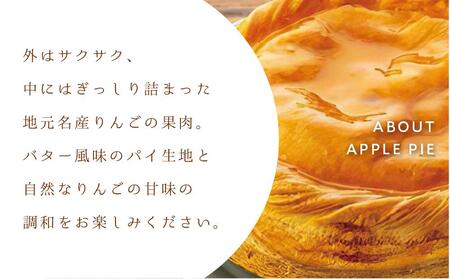 お菓子 焼菓子 アップルパイ 5号 ( 約15cm ) 1台 信州 立田屋 | りんご アップルパイ ケーキ 長野