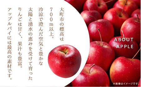 お菓子 焼菓子 アップルパイ 5号 ( 約15cm ) 1台 信州 立田屋 | りんご アップルパイ ケーキ 長野