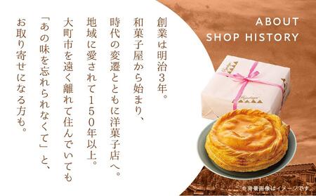お菓子 焼菓子 アップルパイ 5号 ( 約15cm ) 1台 信州 立田屋 | りんご アップルパイ ケーキ 長野