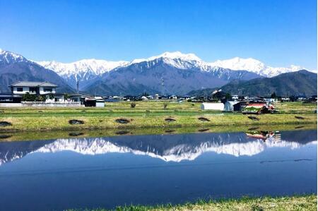 北アルプスの雪解け水で育った一等米コシヒカリ 5KG | 米 新米 長野 信州