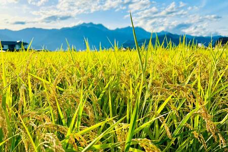 北アルプスの雪解け水で育った一等米コシヒカリ 5KG | 米 新米 長野 信州