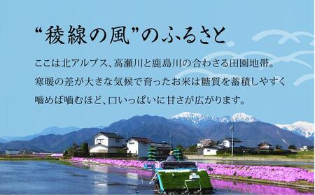 特別栽培米　稜線の風（ひとめぼれ） 5kg | 米 新米 長野 信州