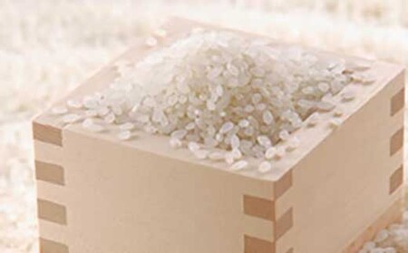 稜線の風（コシヒカリ）10kg | コシヒカリ 米 新米 長野 信州