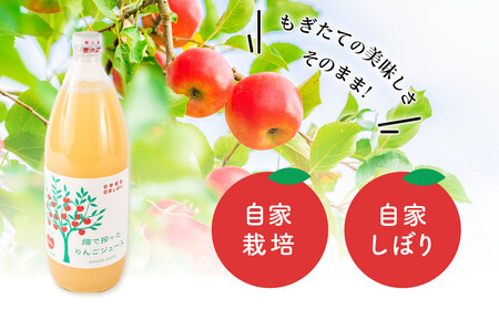 りんご ジュース 6本 × 各1000ml 大町産 箱入り りんごジュース 長野 信州