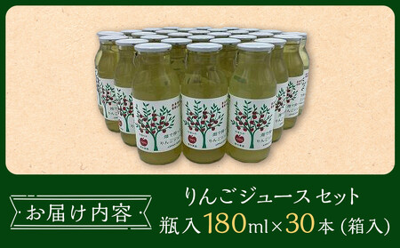 りんご ジュース セット 30本 × 180ml 大町産 大町産 箱入り りんごジュース 長野 信州