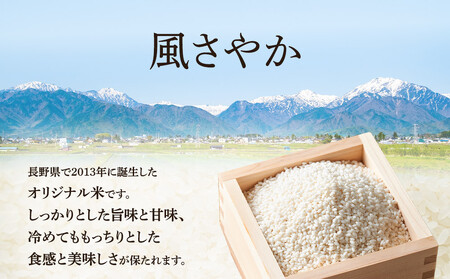 【新米】★数量限定★　令和７年産　風さやか　5kg | ブランド 米  長野 信州 大町