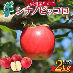 ＜26年９月下旬頃～発送 先行予約＞長野県産 りんご シナノピッコロ 訳あり 約2kg リンゴ 旬 フルーツ 訳アリ 林檎 果物 規格外 自家用 産地直送 農園 産直 お取り寄せ もぎたて 採れたて 送料無料 堀田農園 信州 大町市