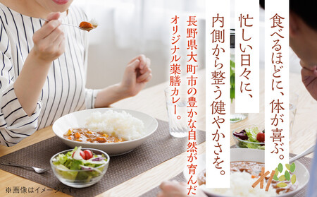 冷凍薬膳カレー　5食入り