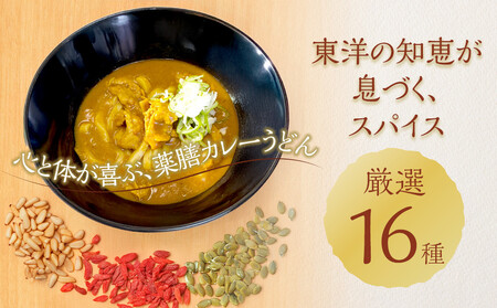 信州産小麦使用 冷凍薬膳カレーうどんセット 3人前