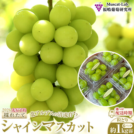 【先行予約】C  2026 P シャインマスカット粒どり6パック　約1kg弱（2026年10月下旬頃～順次発送予定）長野県産 　国際特許有機肥料栽培