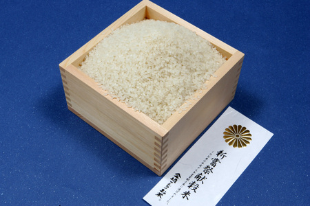 「金崎さんちのお米」9kg(真空パック3kg×3袋)（5-17A）