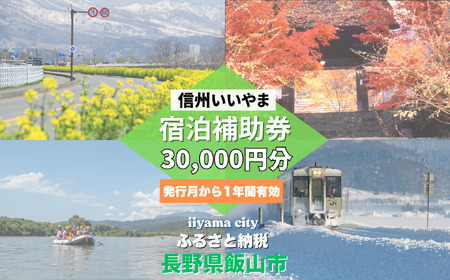 信州いいやま 宿泊補助券 30,000円分 （T-5） 