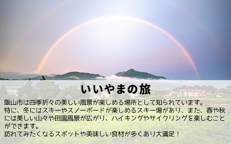 信州いいやま 宿泊補助券 30,000円分 （T-5） 