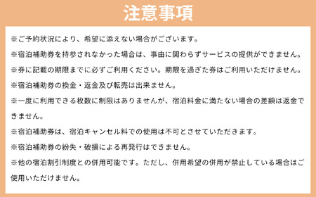 信州いいやま 宿泊補助券 30,000円分 （T-5） 